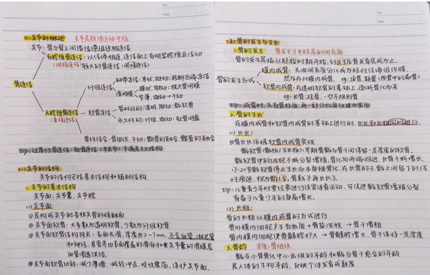 7d7a75c431914ea9bba338bd3e54b5be.png 7d7a75c431914ea9bba338bd3e54b5be.png