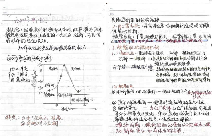 d97d701f13944990b5c15c33b9696cd7.png d97d701f13944990b5c15c33b9696cd7.png